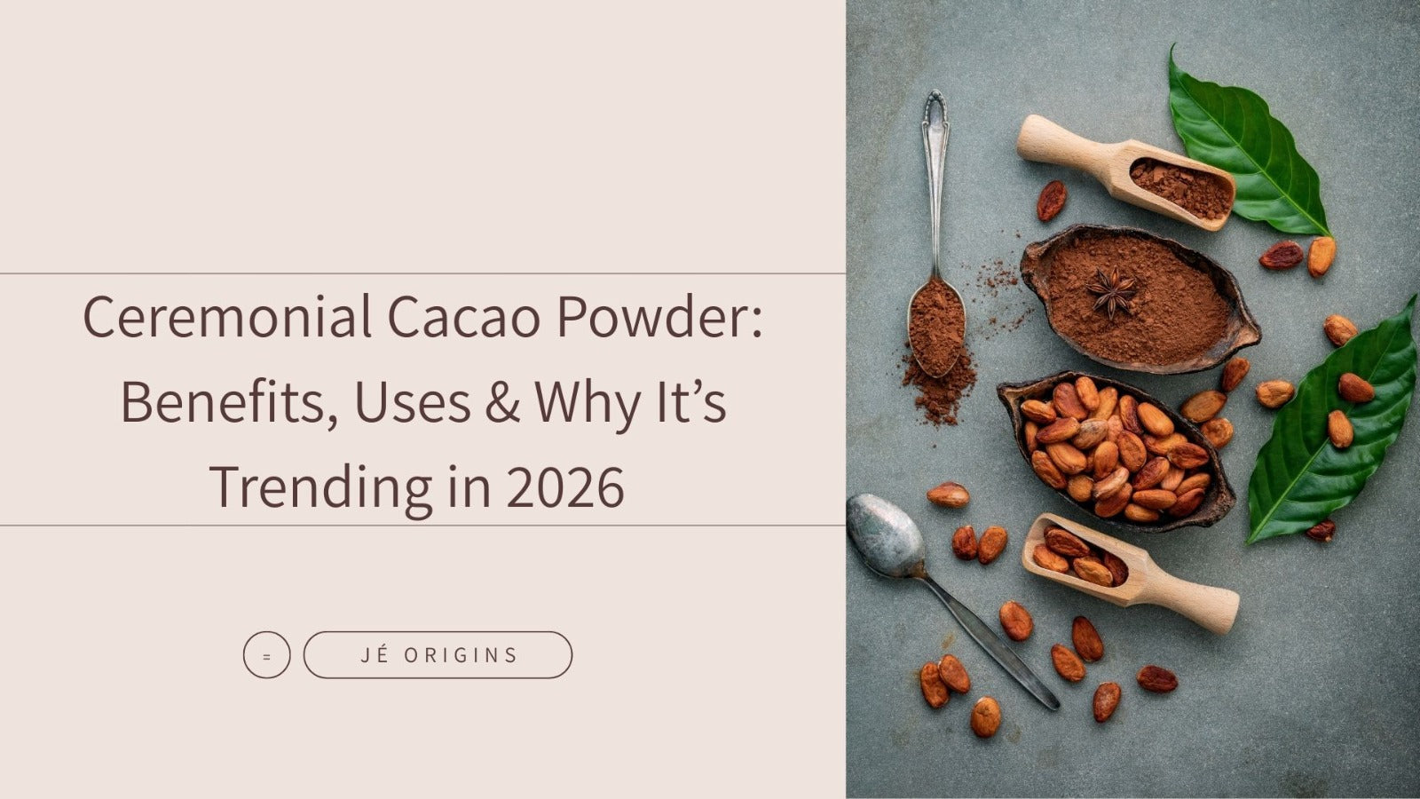 Ceremonial Cacao Powder: Benefits, Uses & Why It’s Trending in 2026 ...