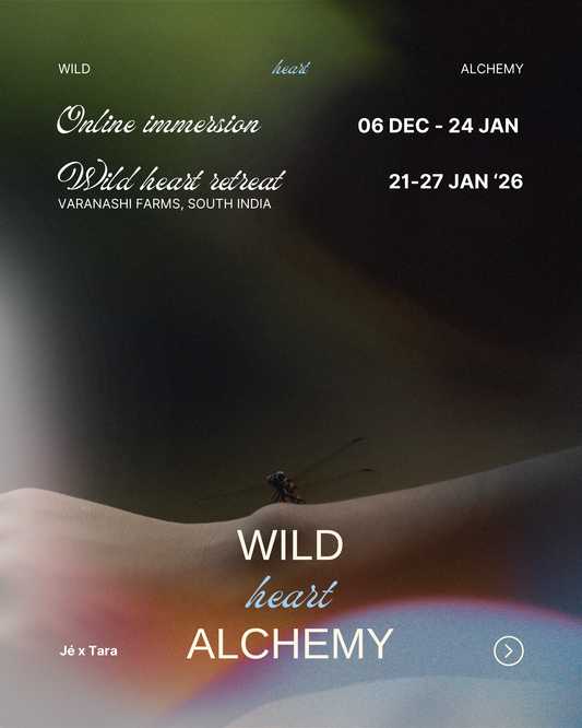 WILD HEART ALCHEMY - 8 WEEK ONLINE IMMERSION