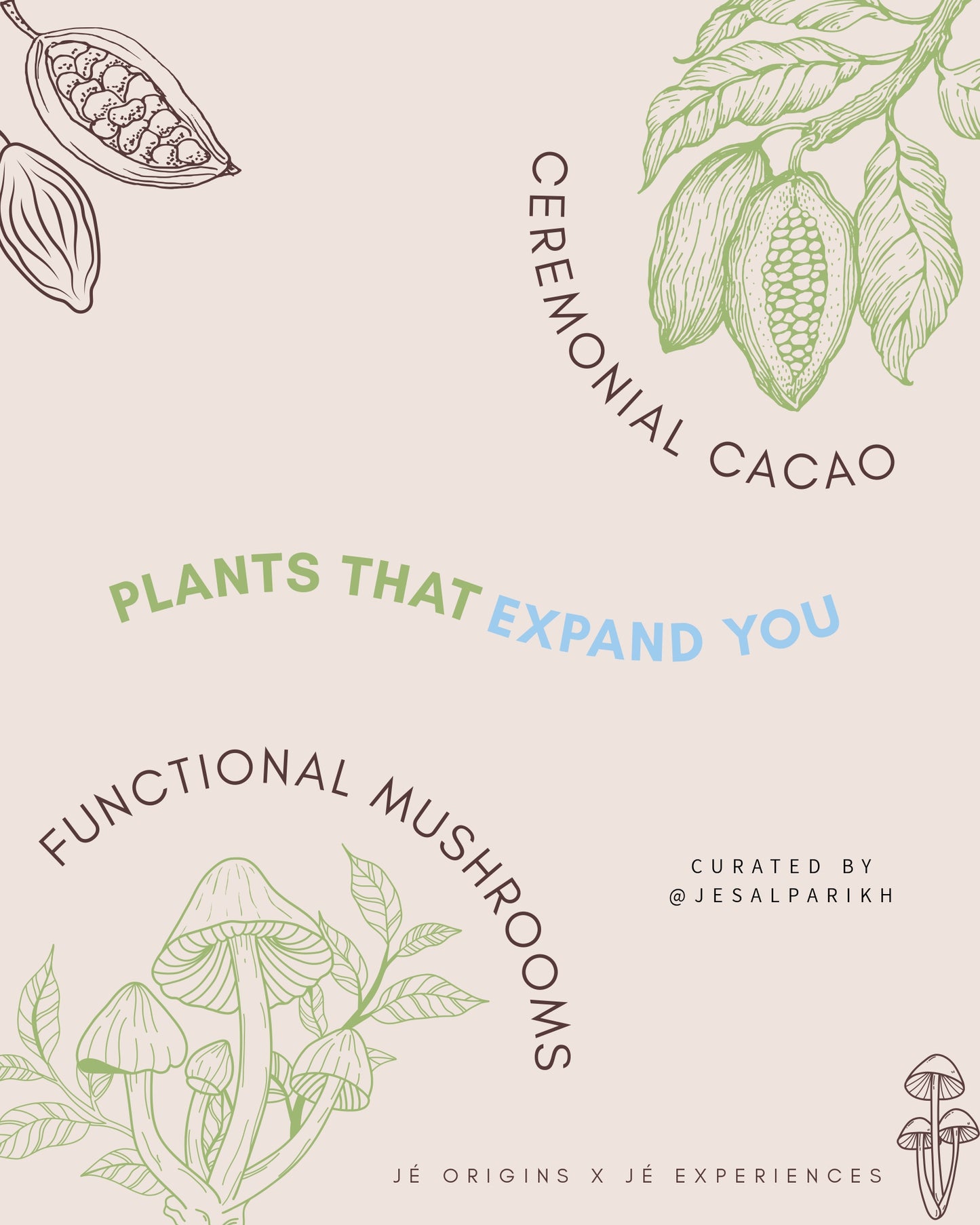Cacao Shrooms and Sound Journey