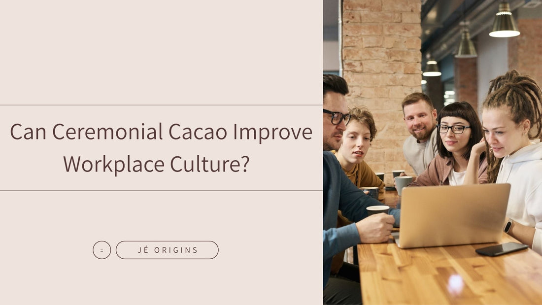 Can Ceremonial Cacao Improve Workplace Culture?