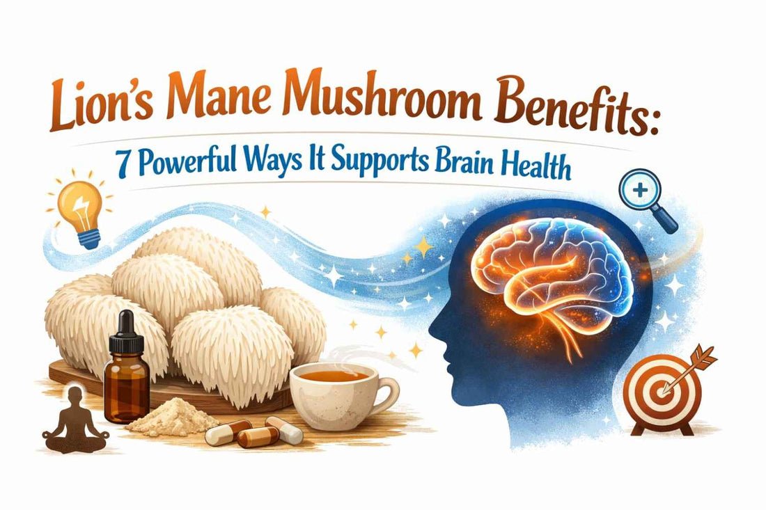 Lion’s Mane Mushroom Benefits: 7 Powerful Ways It Supports Brain Health