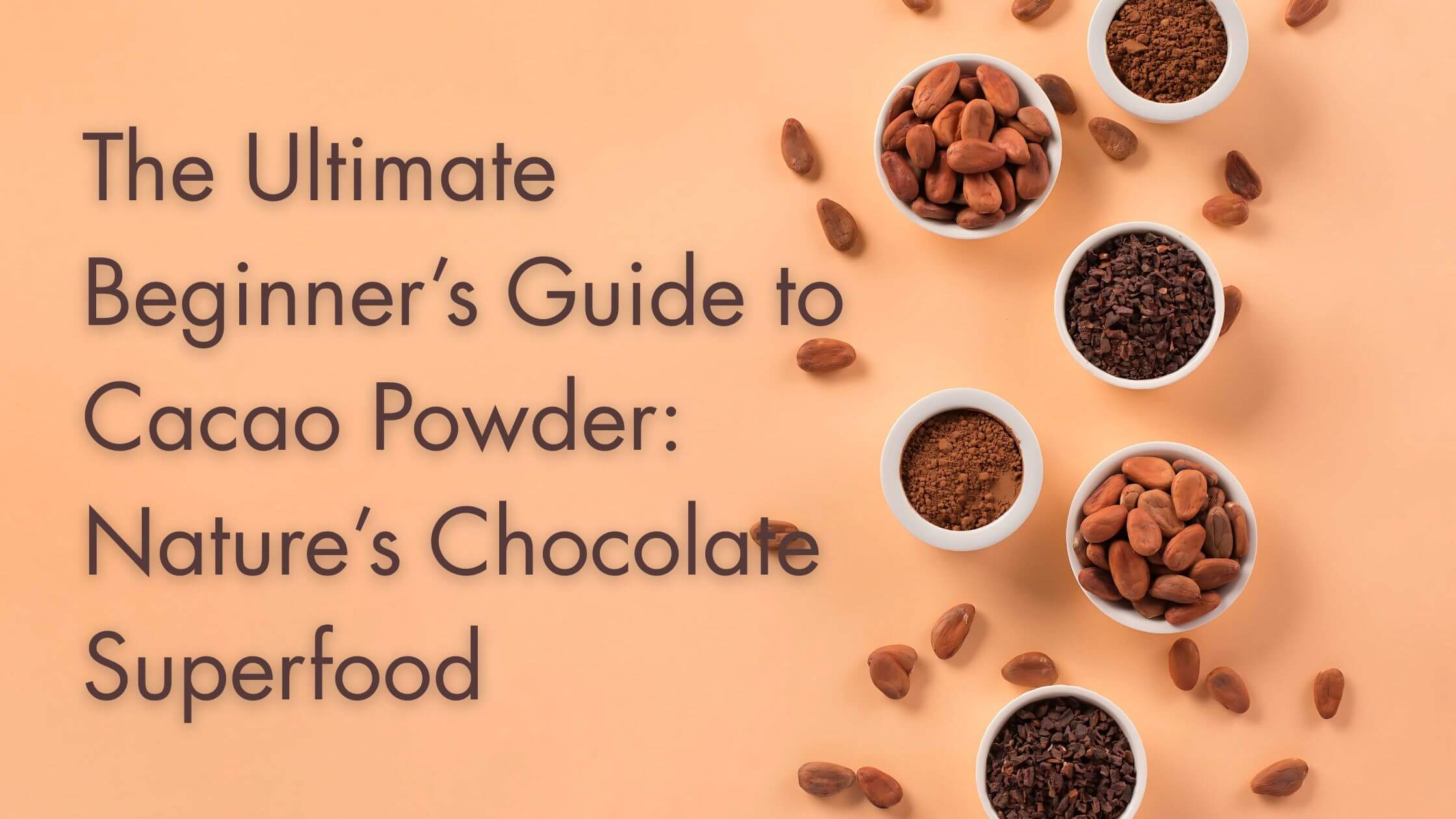 The Ultimate Beginner’s Guide to Cacao Powder : Nature’s Chocolate Superfood