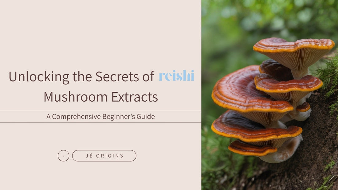 Unlocking the Secrets of Reishi Mushroom Extracts: A Comprehensive Beginner’s Guide