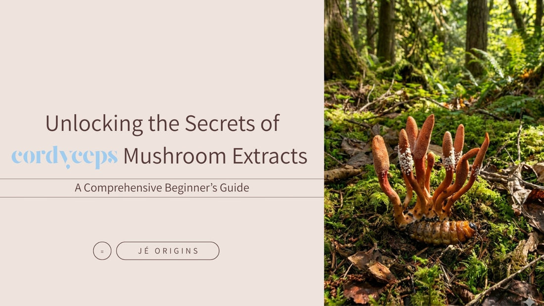 Unlocking the Secrets of Cordyceps Mushroom Extracts: A Comprehensive Beginner’s Guide