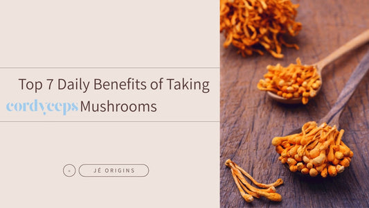 Top 7 Daily Benefits of Taking Cordyceps Mushrooms