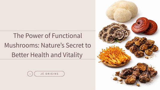 The Power of Functional Mushrooms: Nature’s Secret to Better Health and Vitality