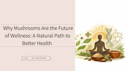 Why Mushrooms Are the Future of Wellness: A Natural Path to Better Health