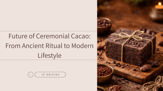 Future of Ceremonial Cacao: From Ancient Ritual to Modern Lifestyle