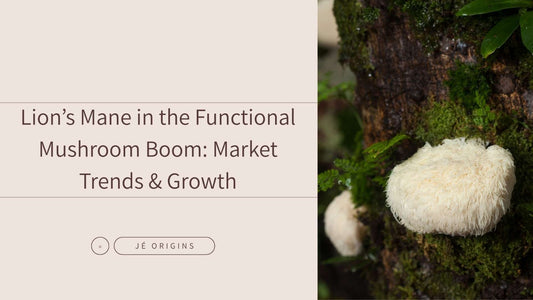 Lion’s Mane in the Functional Mushroom Boom: Market Trends & Growth