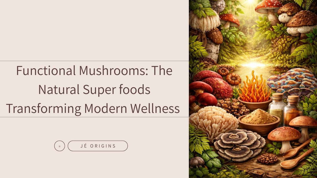 Functional Mushrooms: The Natural Super foods Transforming Modern Wellness