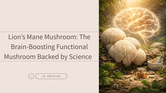 Lion’s Mane Mushroom: The Brain-Boosting Functional Mushroom Backed by Science