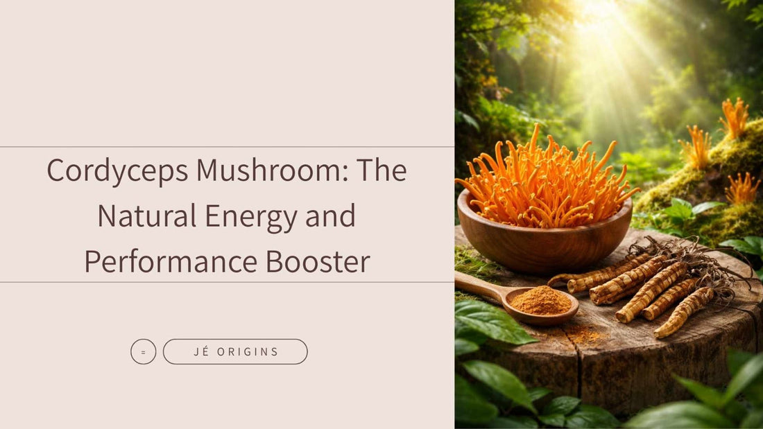 Cordyceps Mushroom: The Natural Energy and Performance Booster