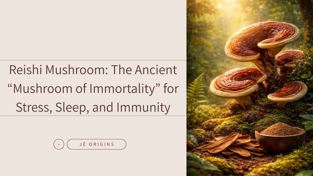 Reishi Mushroom: The Ancient “Mushroom of Immortality” for Stress, Sleep, and Immunity