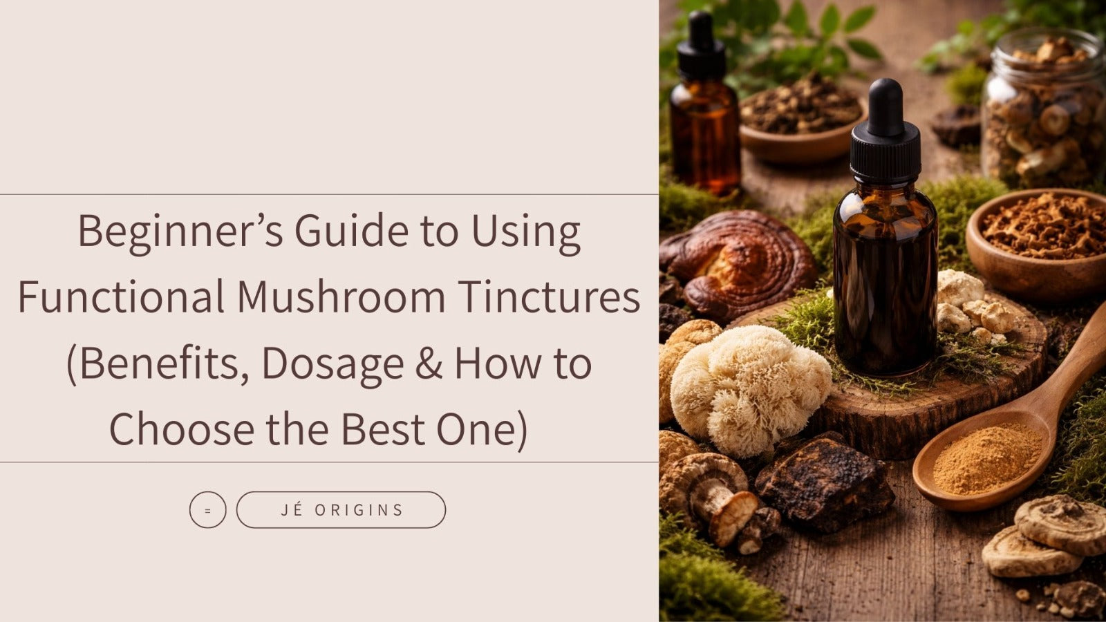 Beginner’s Guide to Using Functional Mushroom Tinctures (Benefits, Dosage & How to Choose the Best One)