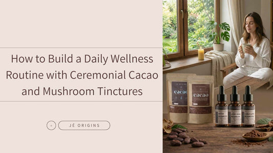 How to Build a Daily Wellness Routine with Ceremonial Cacao and Mushroom Tinctures