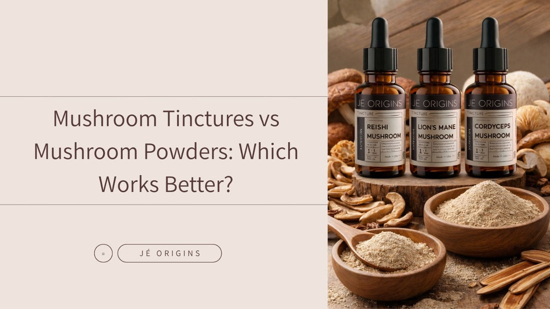 Mushroom Tinctures vs Mushroom Powders: Which Works Better?