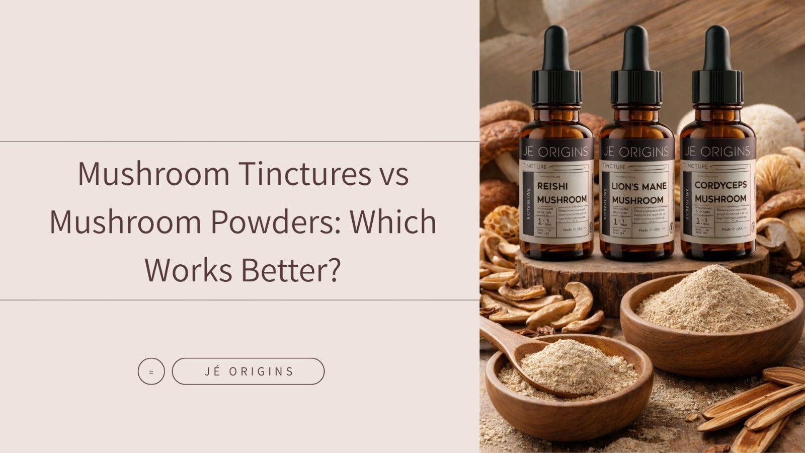 Mushroom Tinctures vs Mushroom Powders: Which Works Better?