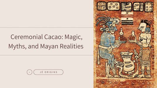Ceremonial Cacao: Magic, Myths, and Mayan Realities