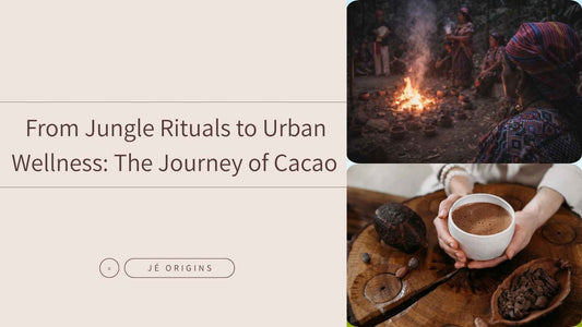 From Jungle Rituals to Urban Wellness: The Journey of Cacao