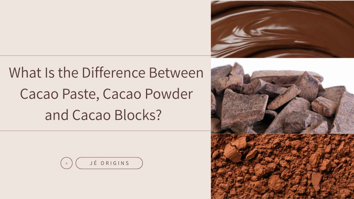 What Is the Difference Between Cacao Paste, Cacao Powder and Cacao Blocks?
