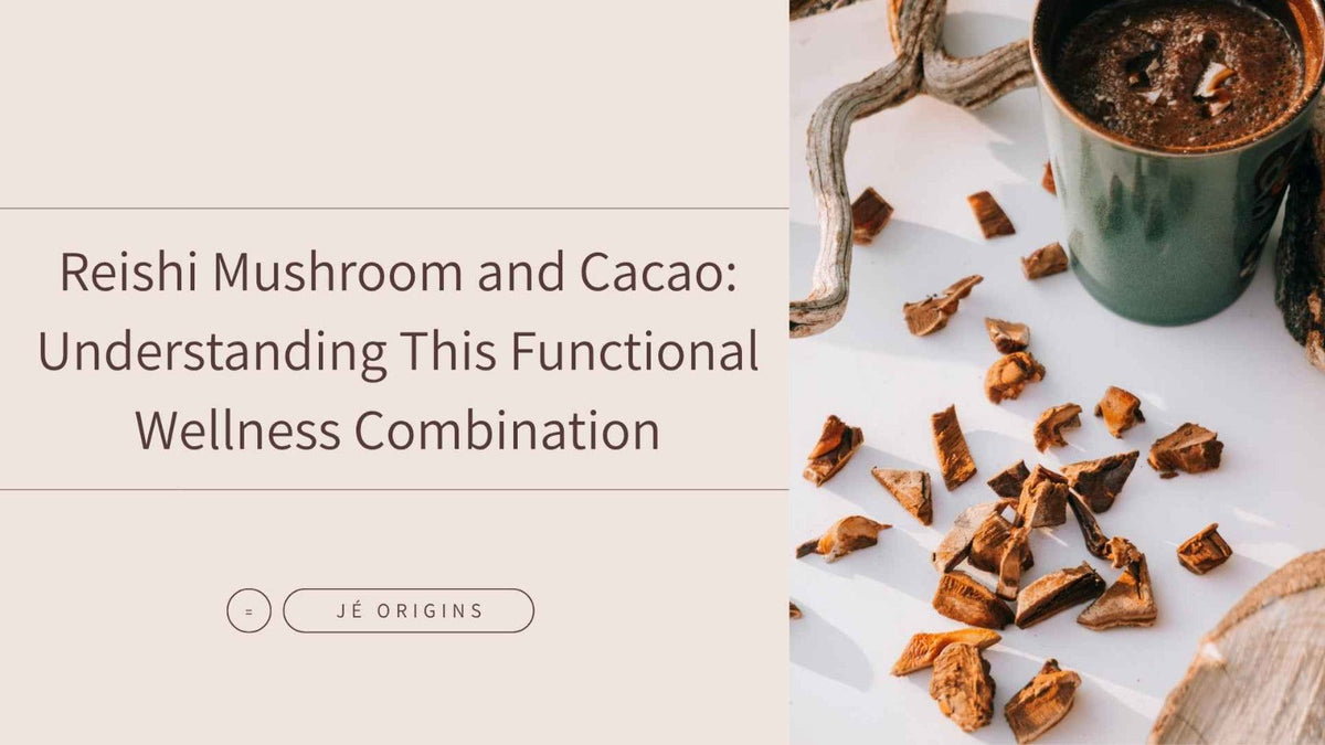 Reishi Mushroom and Cacao: Understanding This Functional Wellness Combination