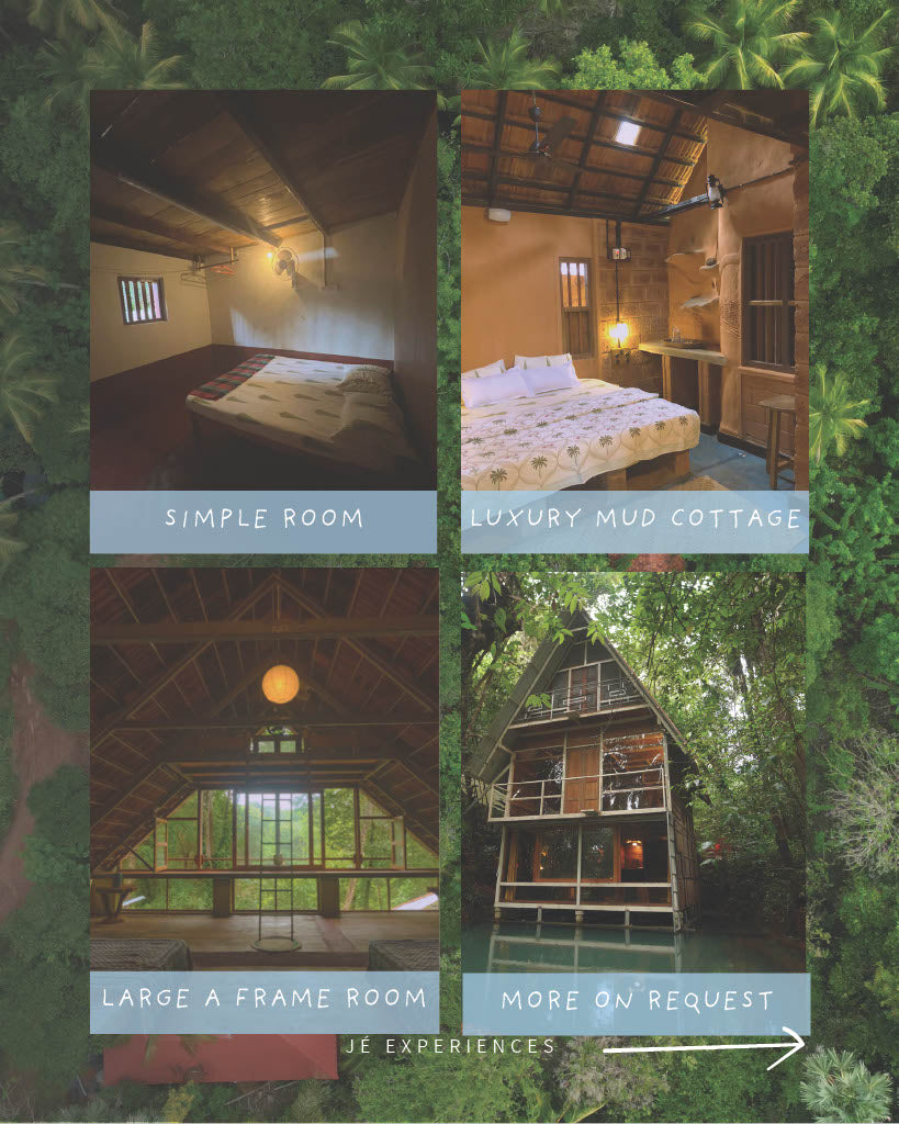 THE WILD PORTAL RETREAT 2.0