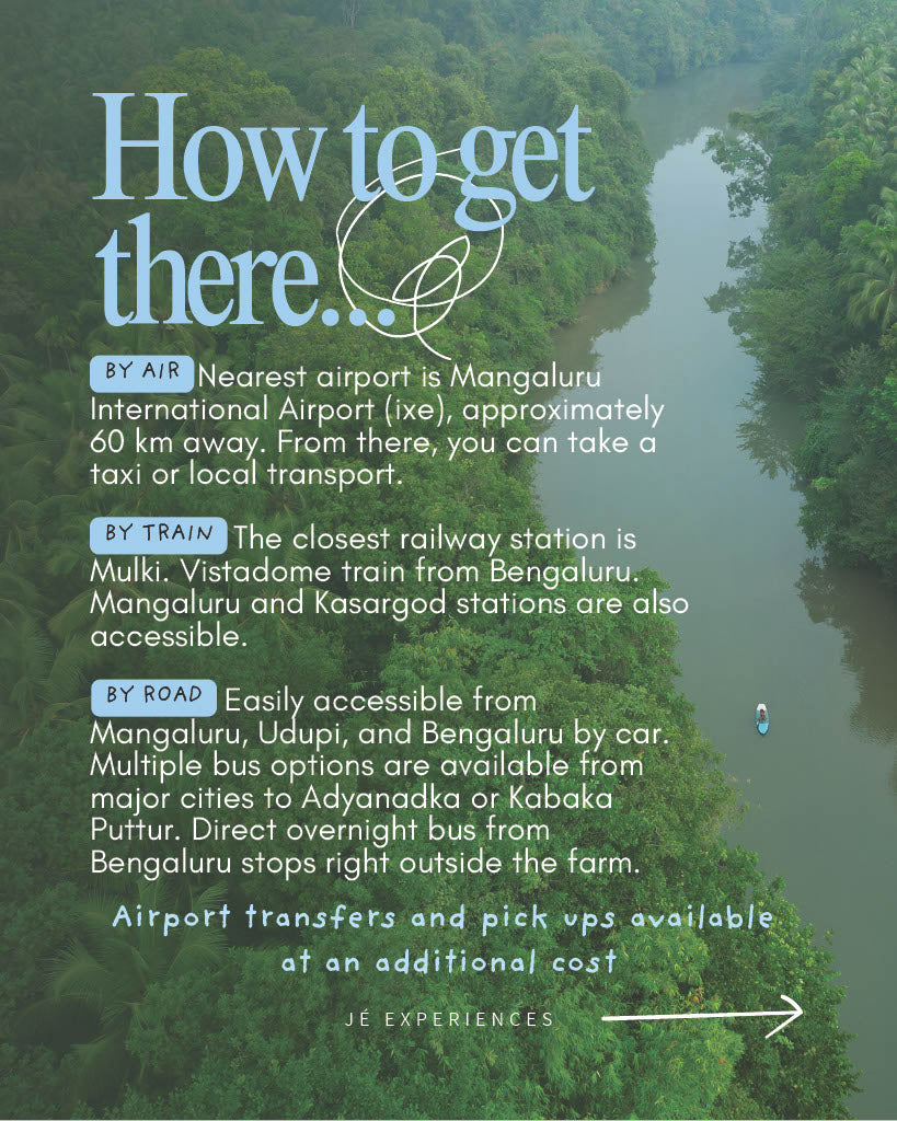 THE WILD PORTAL RETREAT 2.0