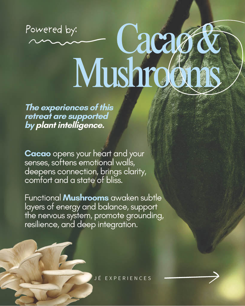 THE WILD PORTAL RETREAT 2.0