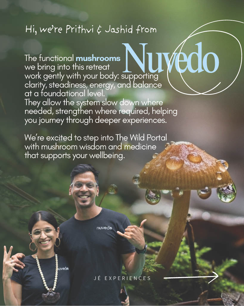 THE WILD PORTAL RETREAT 2.0