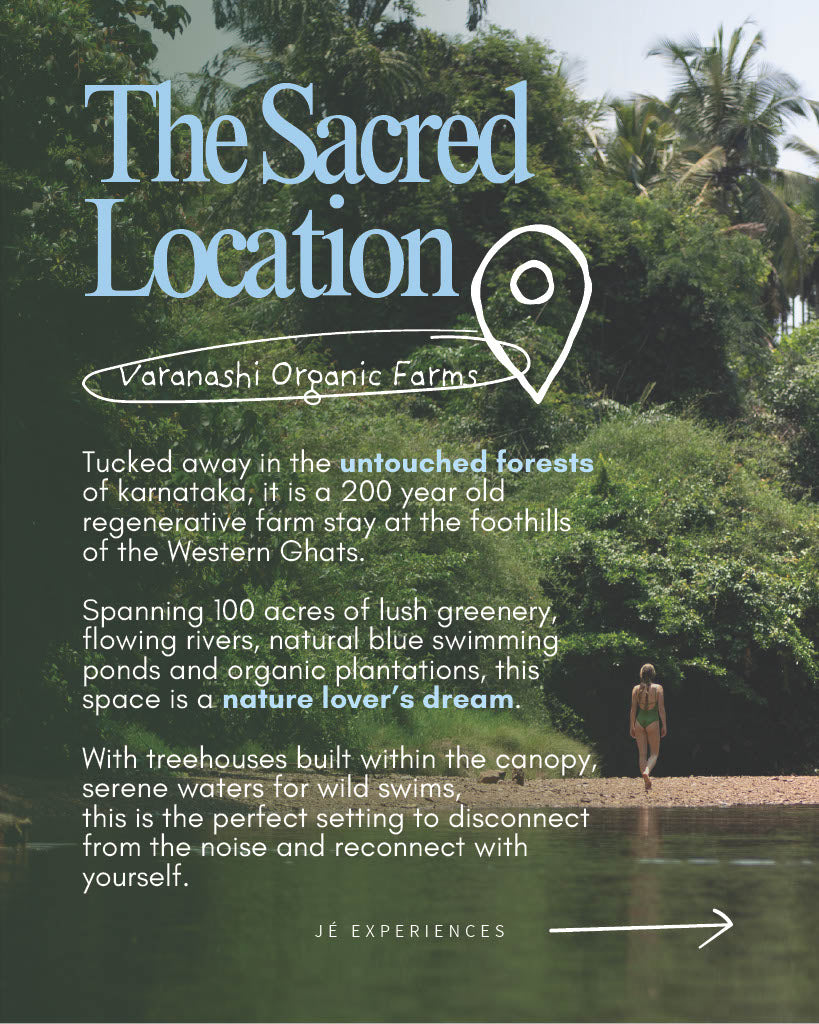 THE WILD PORTAL RETREAT 2.0