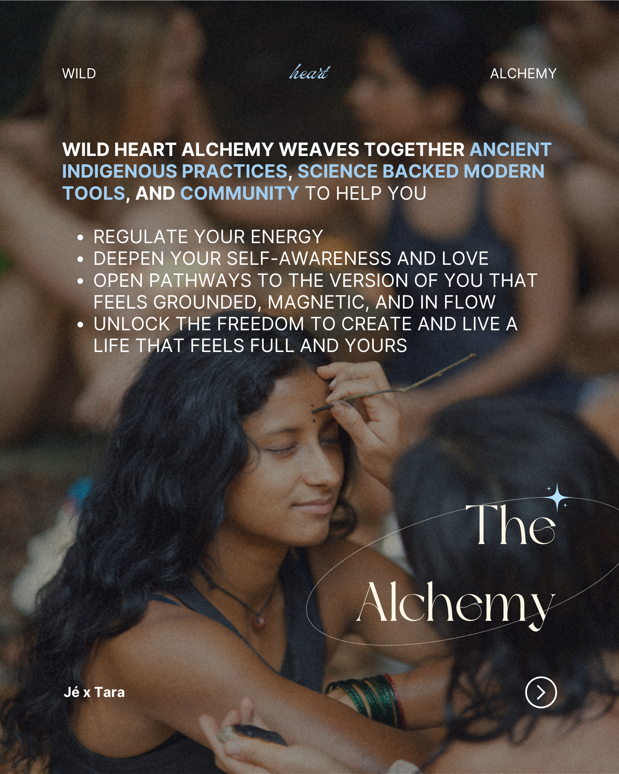 WILD HEART ALCHEMY - 8 WEEK ONLINE IMMERSION