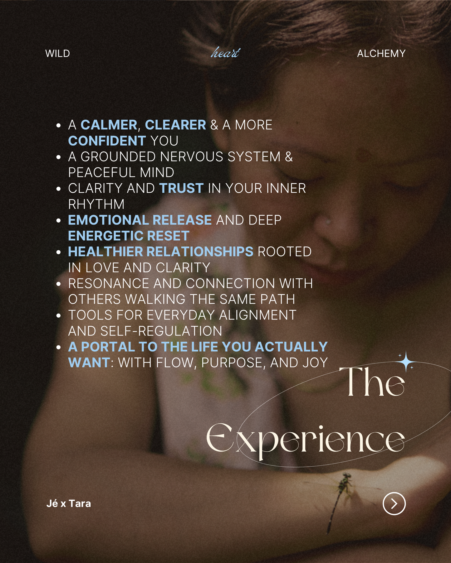 WILD HEART ALCHEMY - 8 WEEK ONLINE IMMERSION