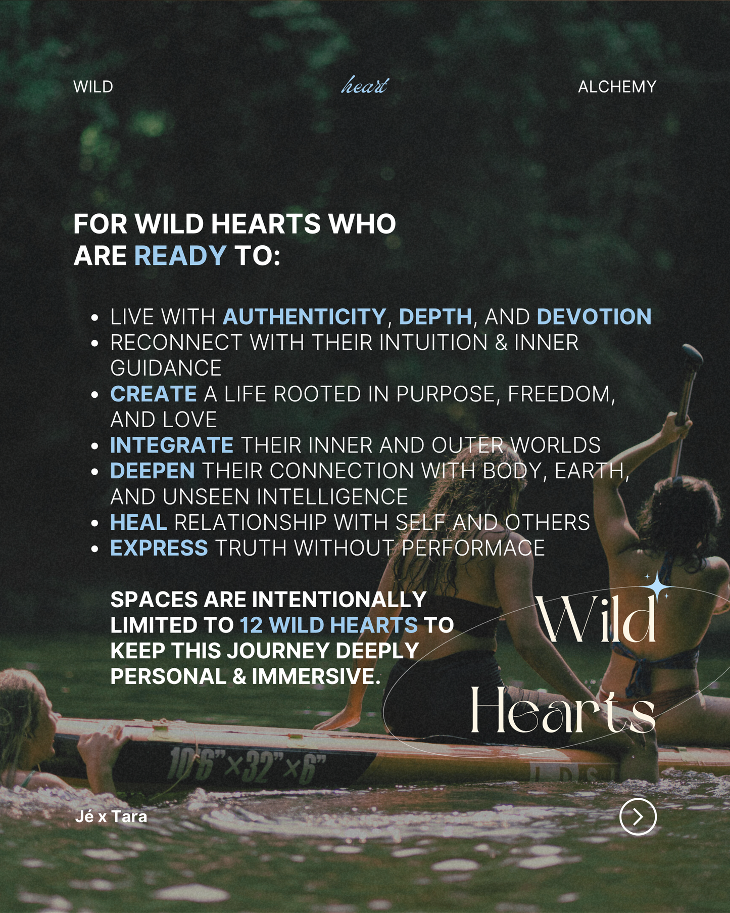 WILD HEART ALCHEMY - 8 WEEK ONLINE IMMERSION