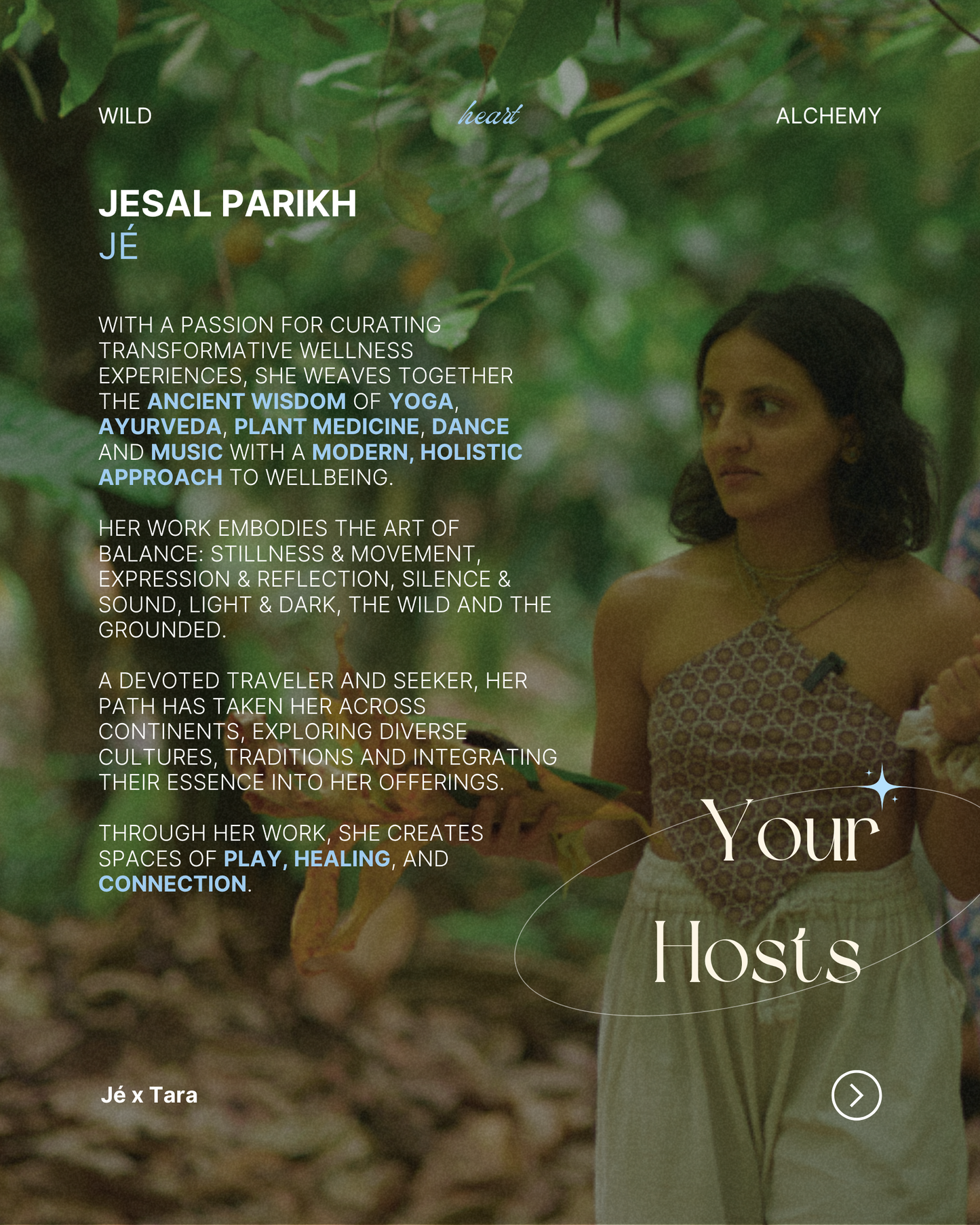 WILD HEART ALCHEMY - 8 WEEK ONLINE IMMERSION