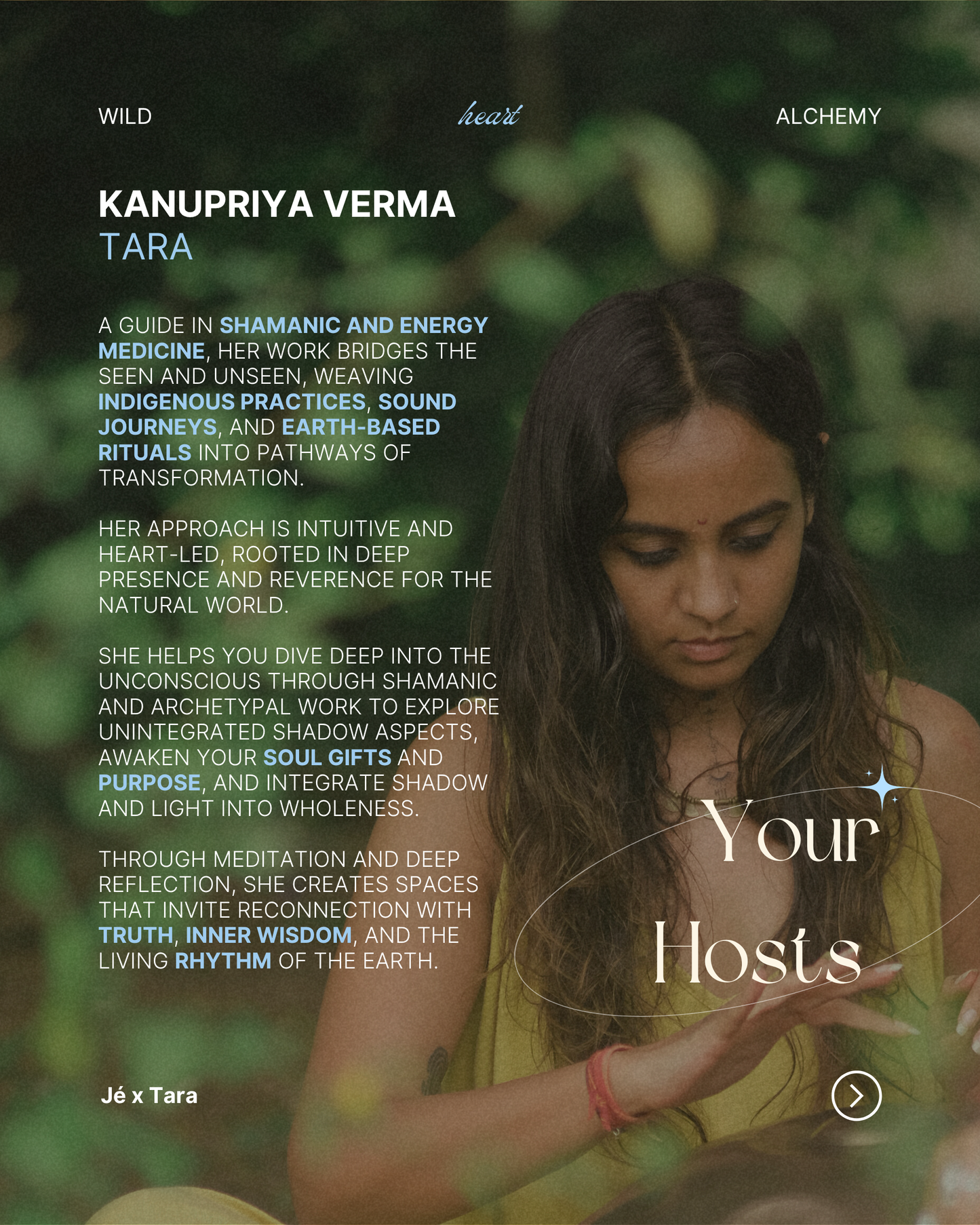 WILD HEART ALCHEMY - 8 WEEK ONLINE IMMERSION