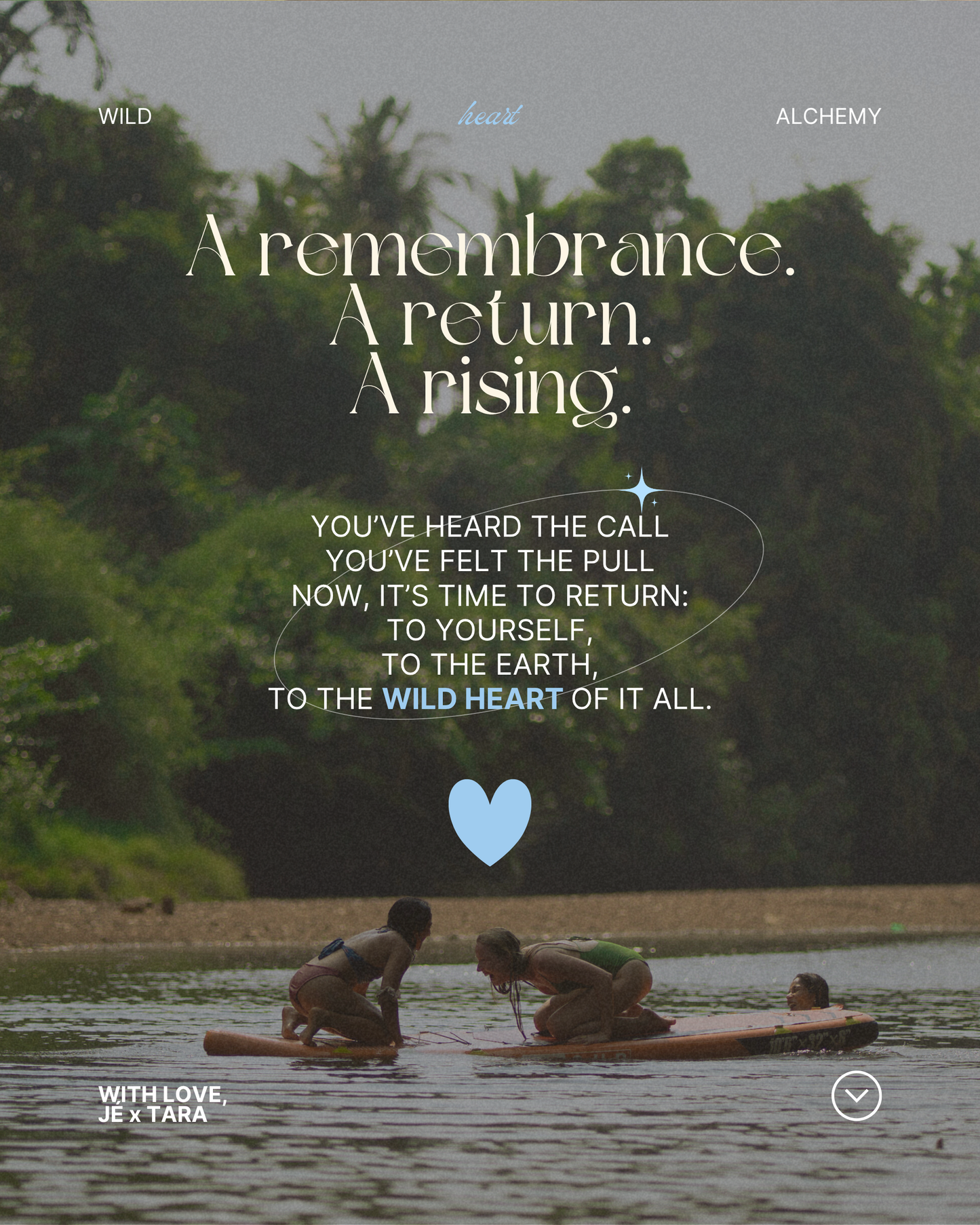 WILD HEART ALCHEMY - 8 WEEK ONLINE IMMERSION