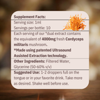 Energy - Cordyceps Mushroom Tincture