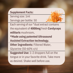 Energy - Cordyceps Mushroom Tincture