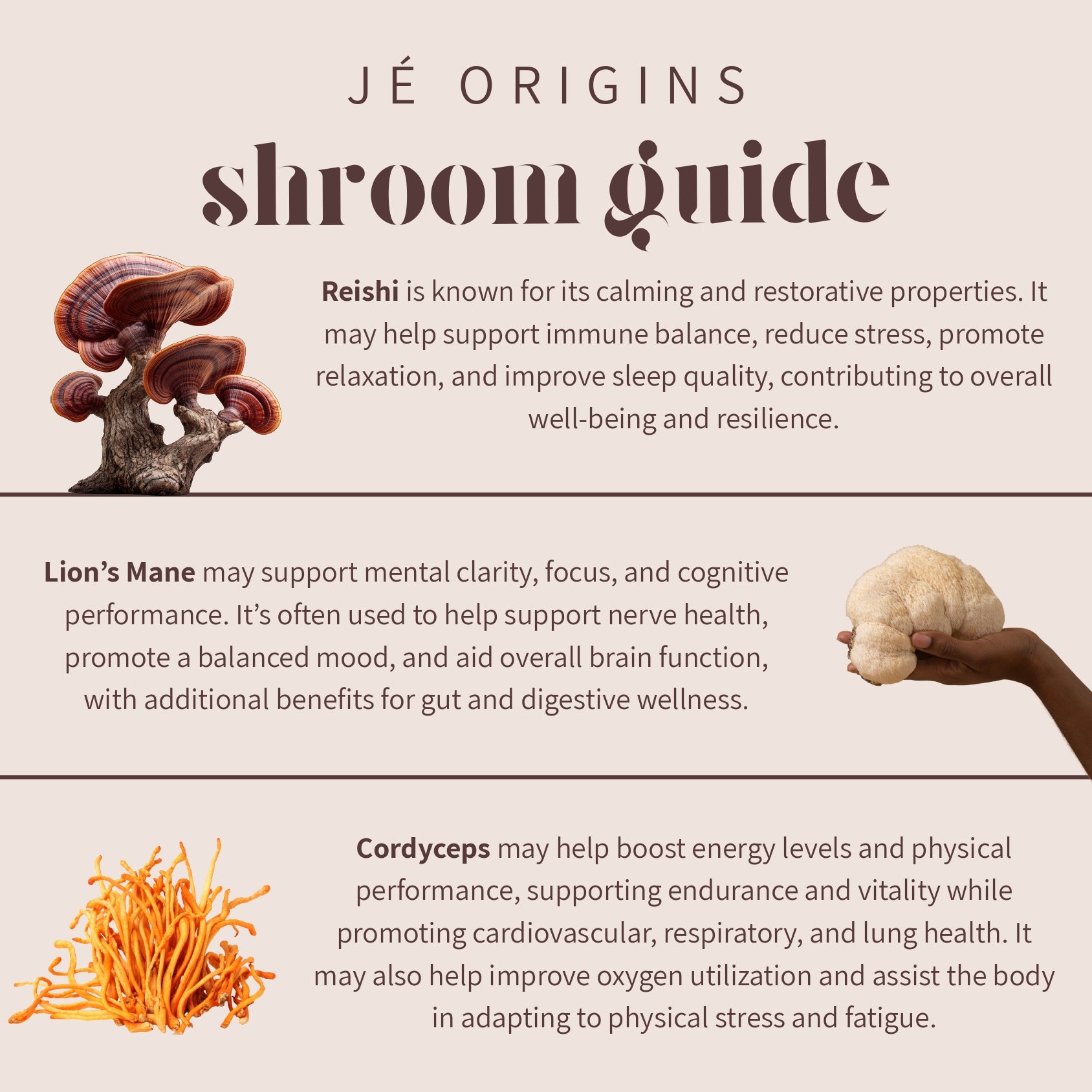 Clarity - Lion’s Mane Mushroom Tincture
