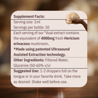 Clarity - Lion’s Mane Mushroom Tincture