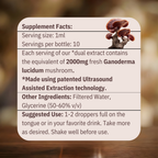 Calm - Reishi Mushroom Tincture