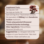 Calm - Reishi Mushroom Tincture