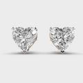 The Love Studs