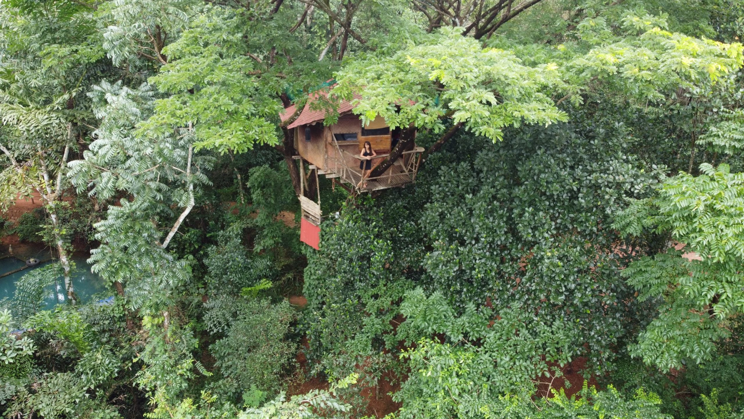 THE WILD PORTAL RETREAT