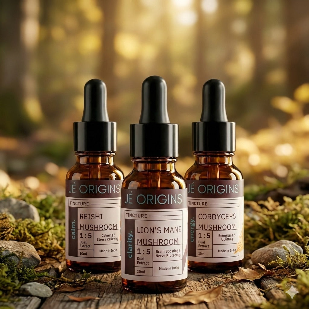 Functional Mushroom Discovery Bundle