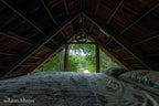 THE WILD PORTAL RETREAT