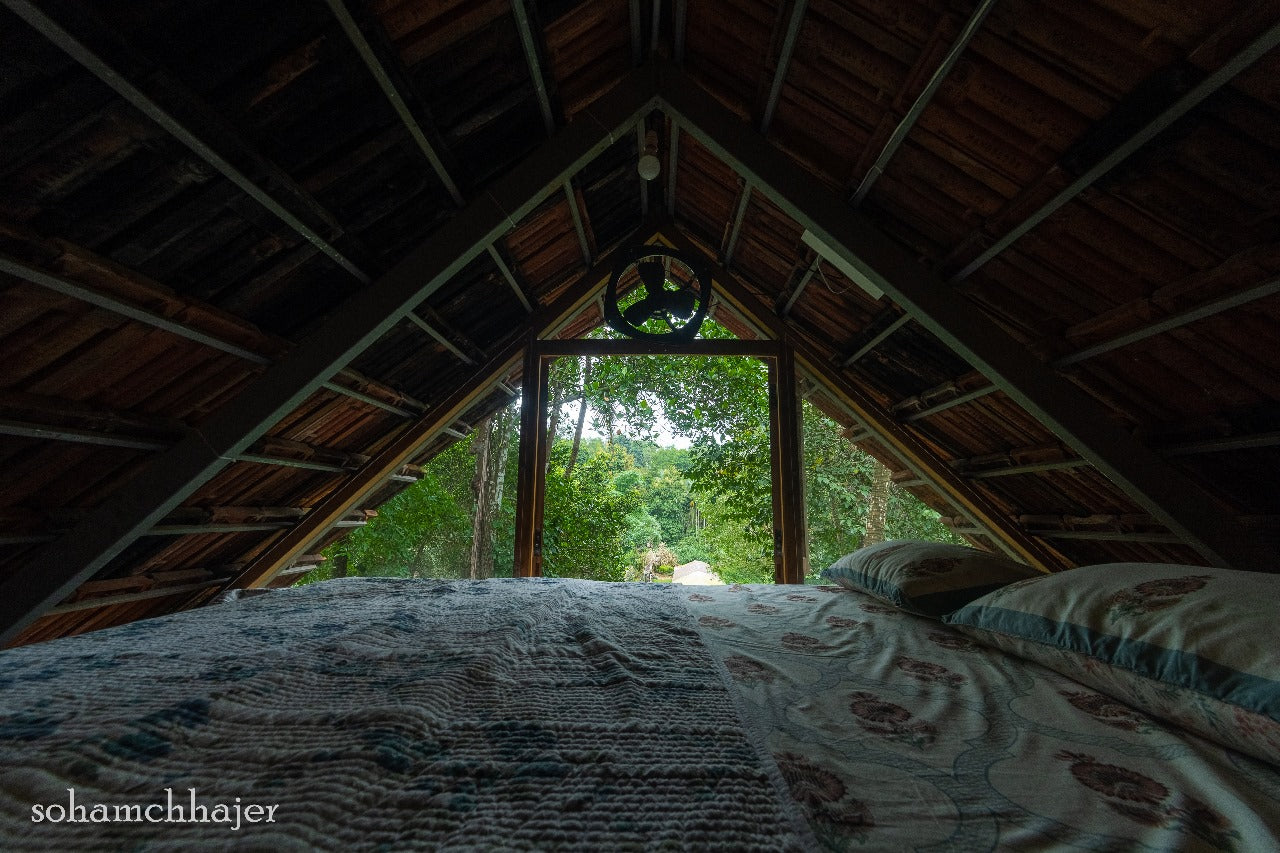 THE WILD PORTAL RETREAT