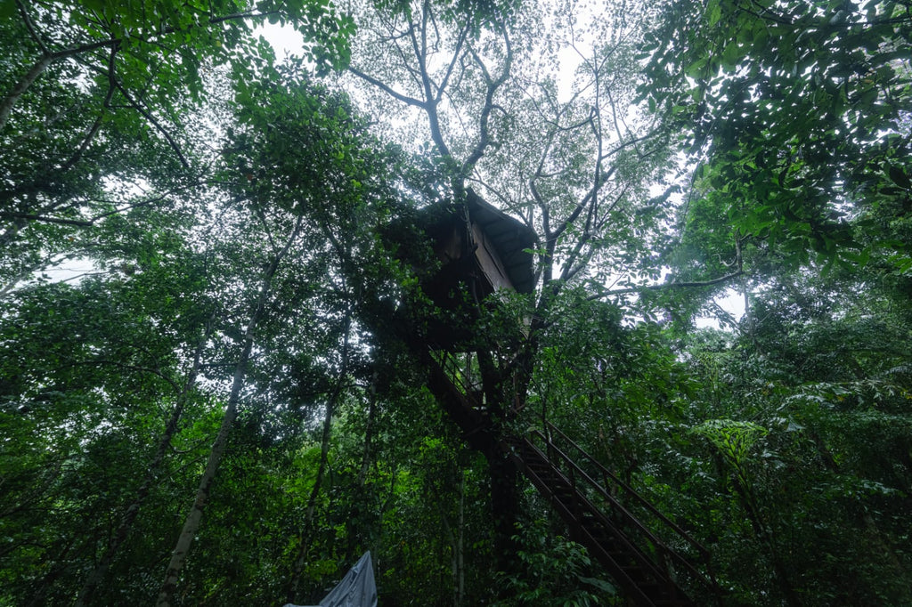THE WILD PORTAL RETREAT