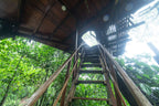 THE WILD PORTAL RETREAT