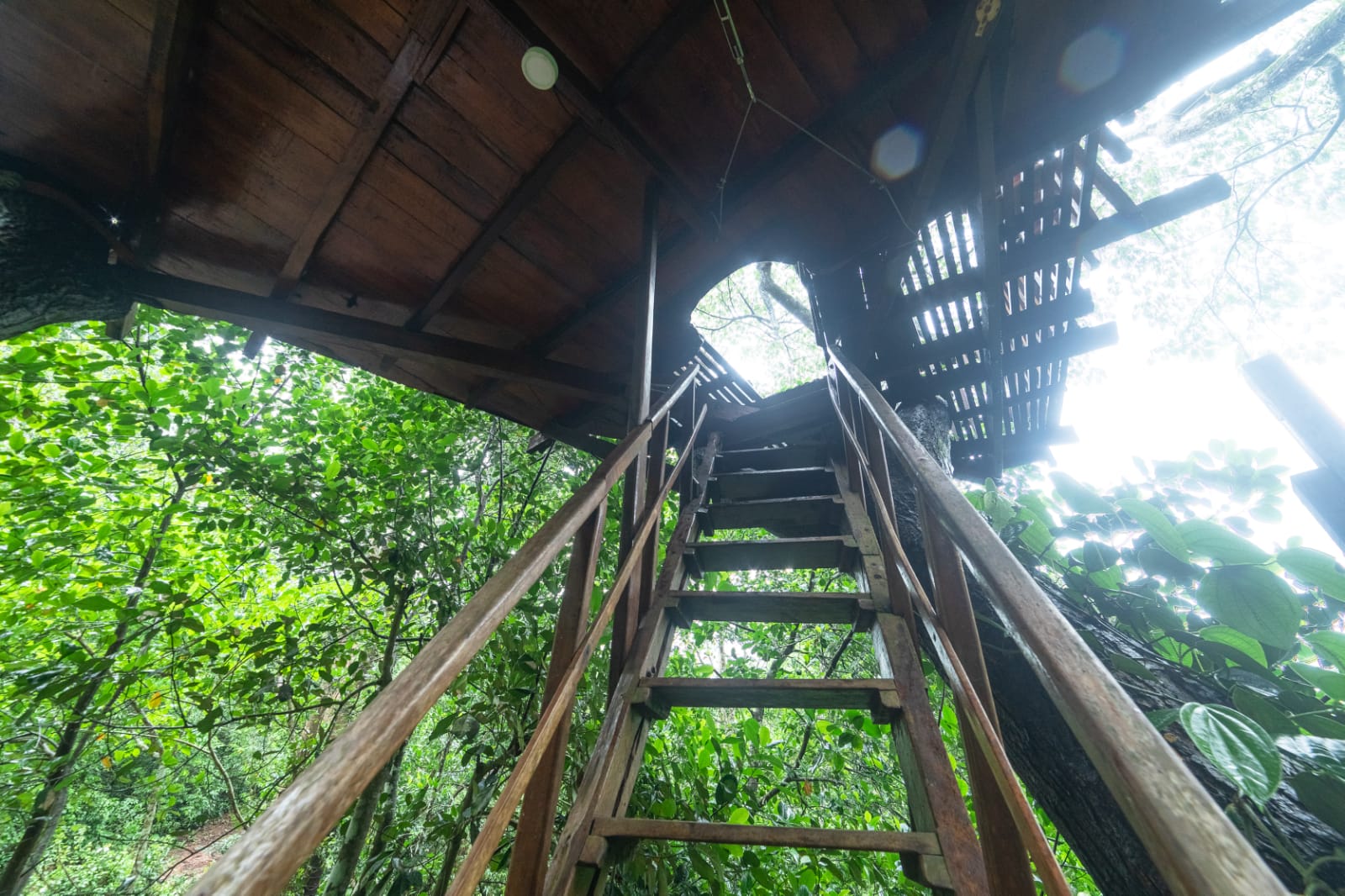 THE WILD PORTAL RETREAT